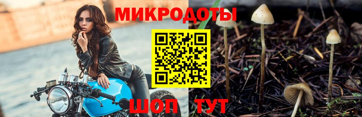 Псилоцибиновые грибы Cubensis  Вход с VPN  Междуреченск  где купить наркоту  Галлюциногенные грибы MAGIC MUSHROOMS 